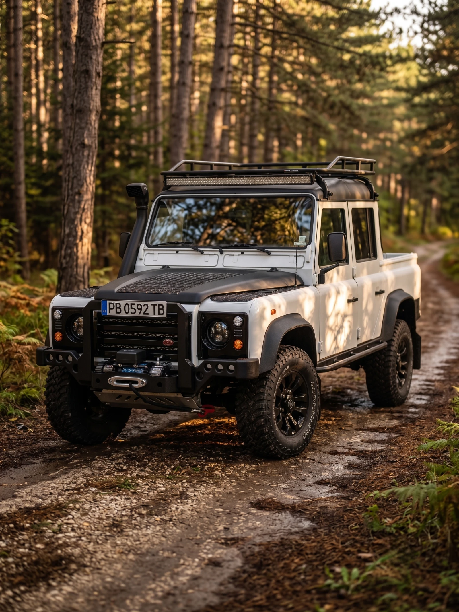 Land Rover Defender 110 Crew Cab Pick Up, снимка 4 - Автомобили и джипове - 54277459