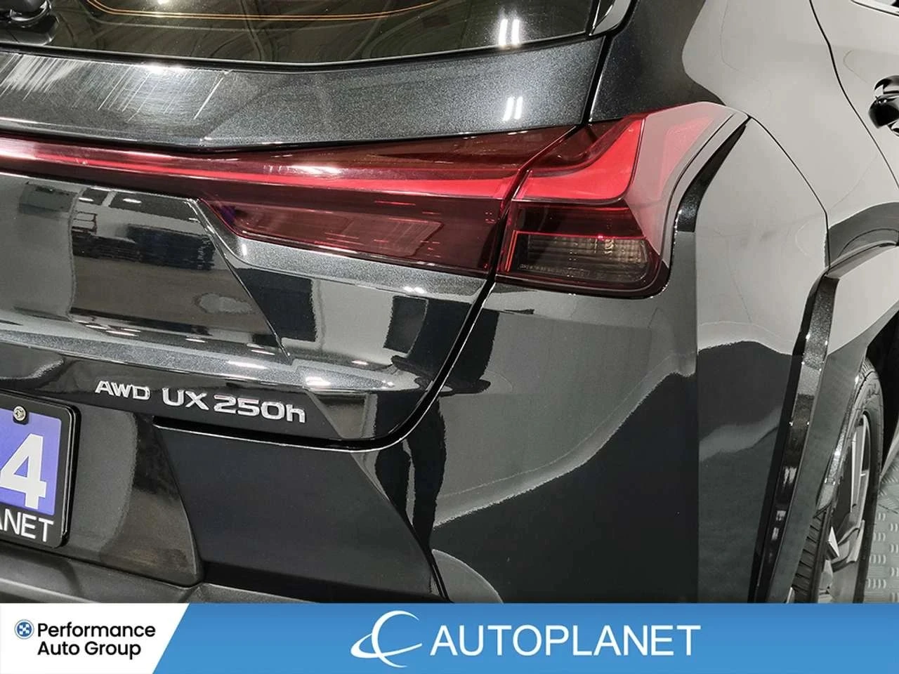 Lexus UX | Mobile.bg � ����������� 11