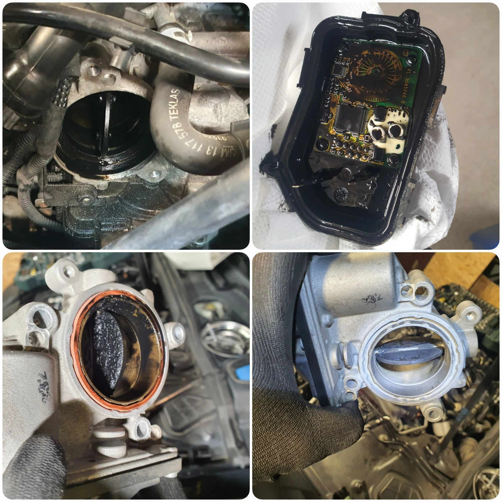      /      / Car Service | Mobile.bg   13