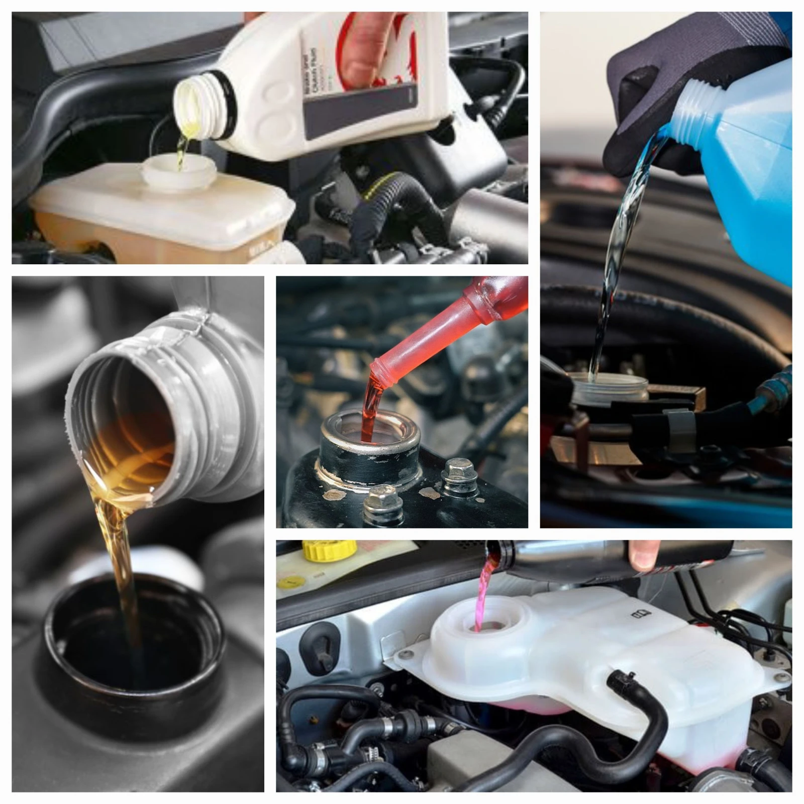      /      / Car Service | Mobile.bg   4