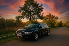 Audi A4 1.6 с ГАЗ, снимка 1