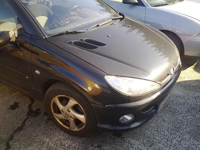 Peugeot 206 СС 2.0/1.6 16V/1.4HDI, снимка 16 - Автомобили и джипове - 11009916