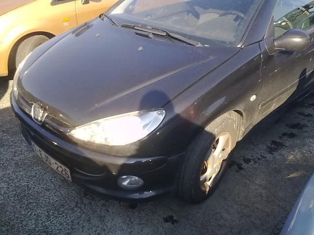 Peugeot 206 СС 2.0/1.6 16V/1.4HDI, снимка 17 - Автомобили и джипове - 11009916