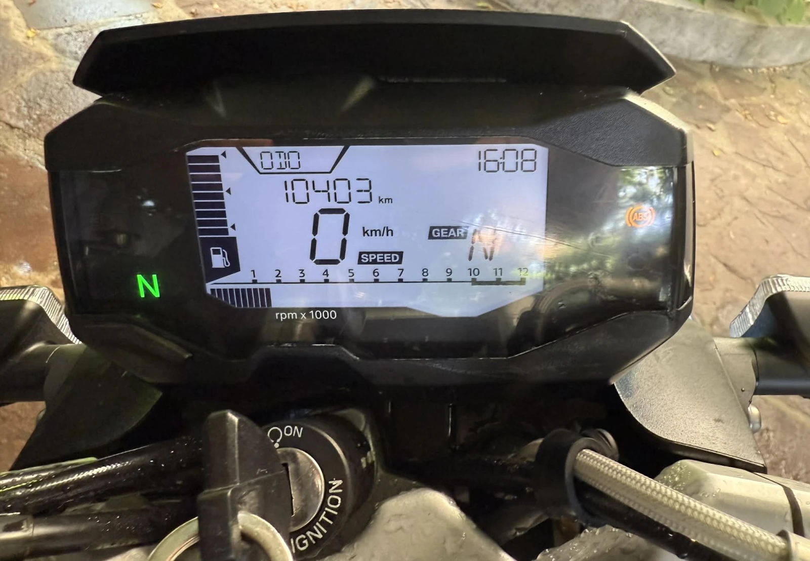 BMW G 310R - изображение 5