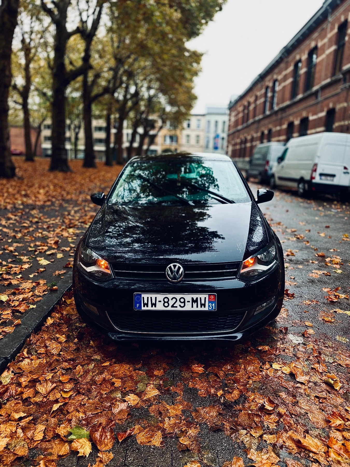 VW Polo 1.6 tdi - изображение 9