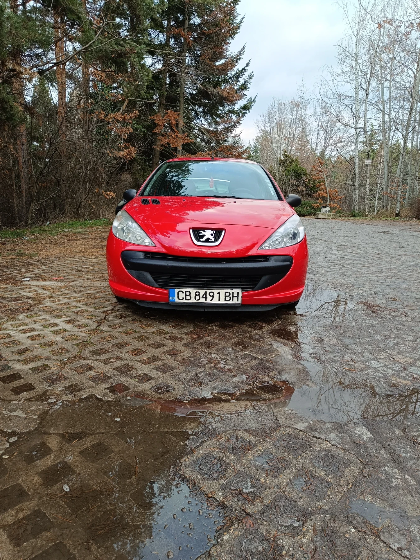 Peugeot 206 Газов инжекцион  - изображение 2