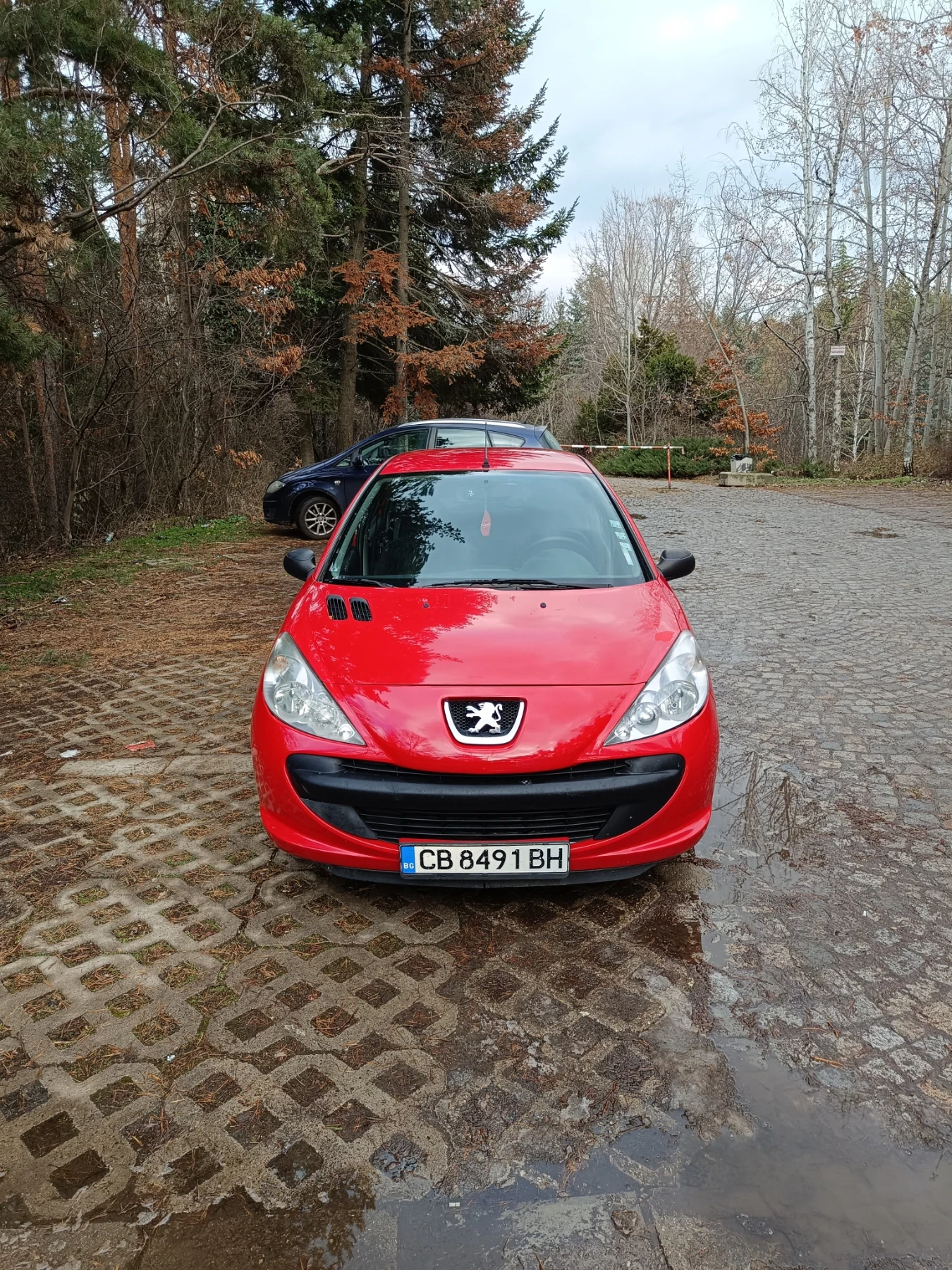 Peugeot 206 Газов инжекцион  - изображение 3