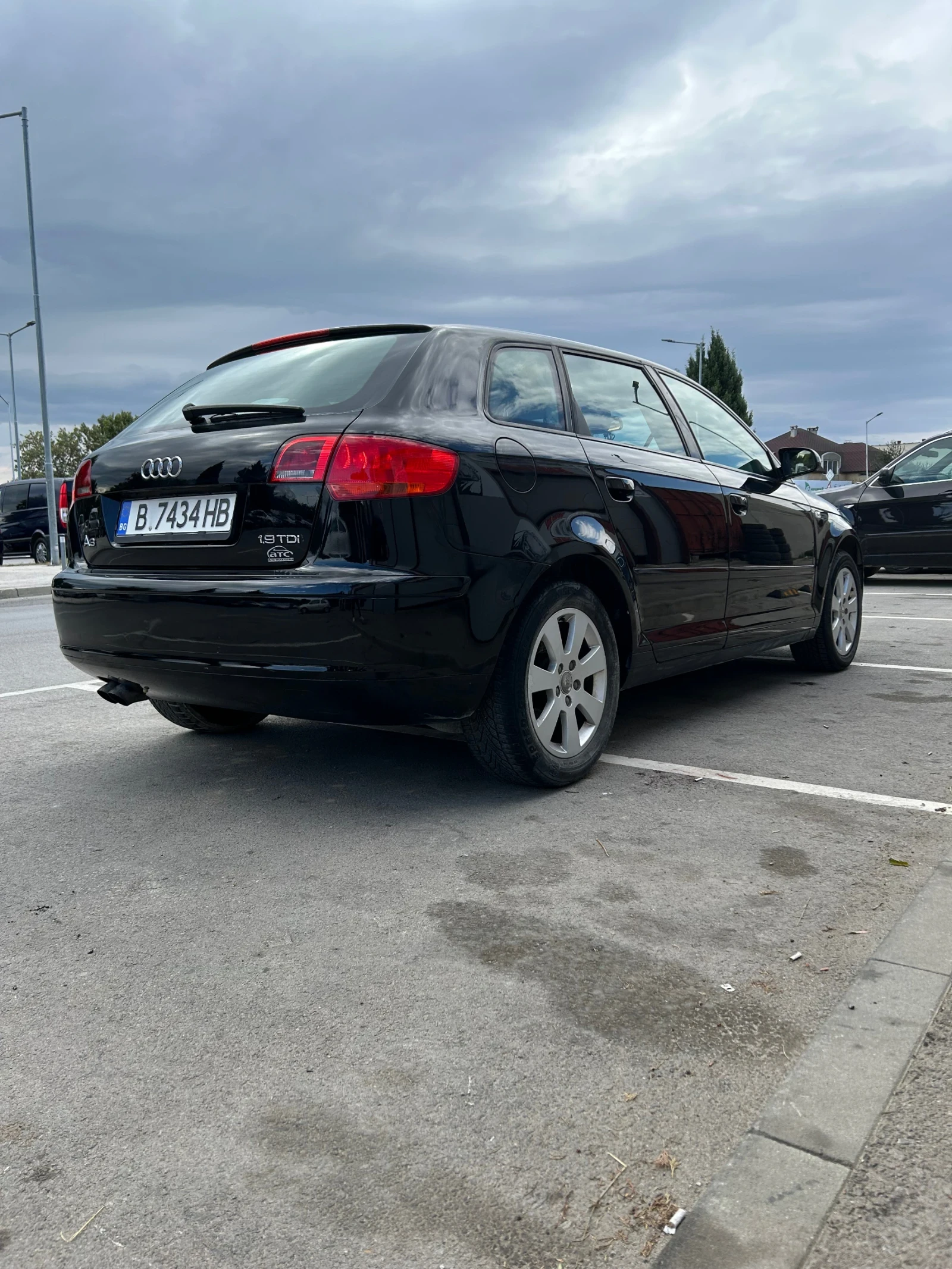 Audi A3 1.9 TDI, снимка 5 - Автомобили и джипове - 56275266