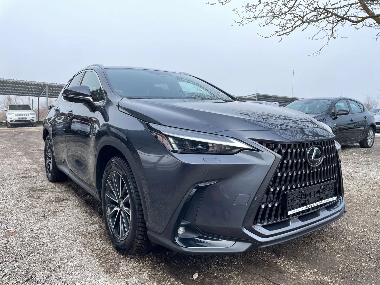 Lexus NX 450 + /Luxury/Relax+ HHC  - изображение 3