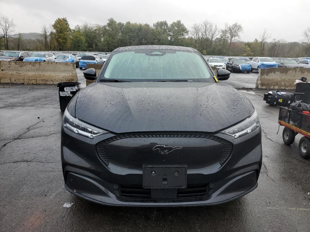 Ford Mustang Mach-E Select AWD, снимка 5 - Автомобили и джипове - 54336233