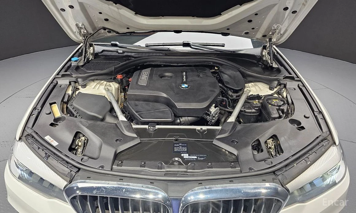 BMW 520, снимка 6 - Автомобили и джипове - 54629557