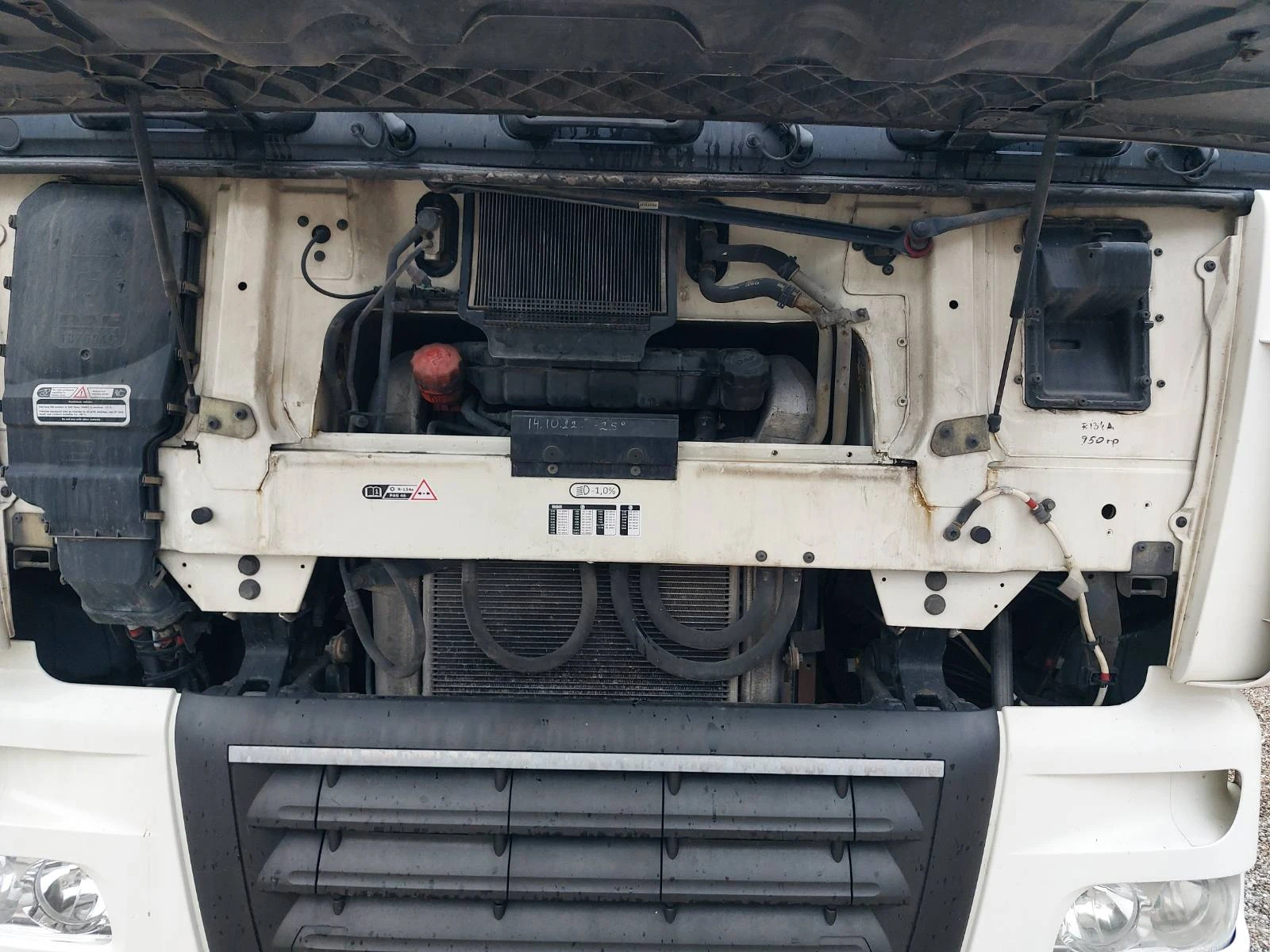 Daf XF 105 FT | Mobile.bg � ����������� 5