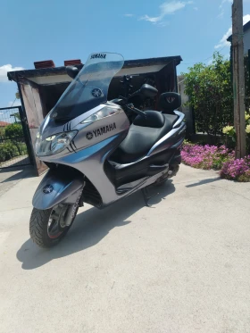 ������ Yamaha Majesty