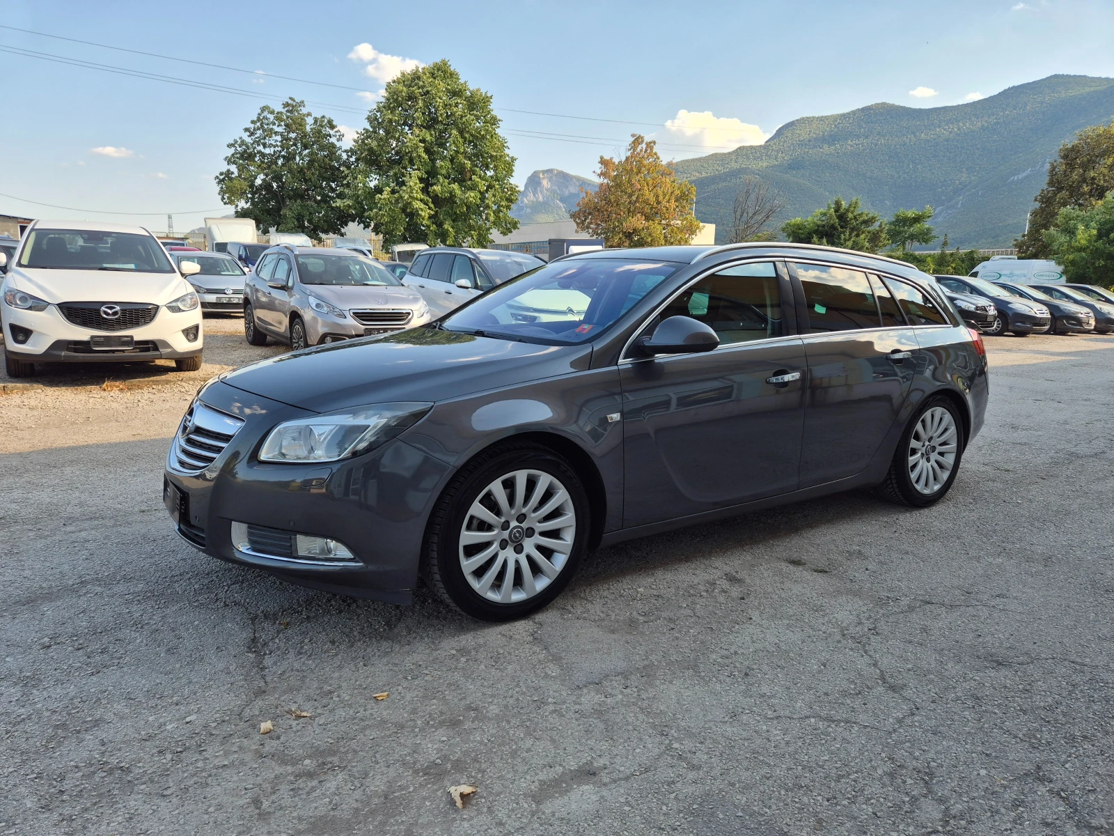 Opel Insignia 2.0CDTI NAVI KLIMA ITALY, снимка 8 - Автомобили и джипове - 55598777