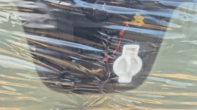 ПРЕДНО СТЪКЛО MERCEDES-BENZ A-CLASS 1776701801, ПРЕДНО СТЪКЛО W177, снимка 6