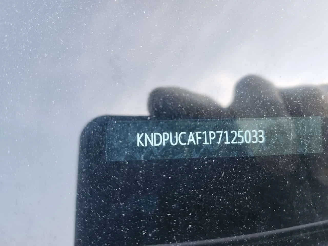 Kia Sportage Awd X-line| LANE ASSIST| CAMERA| ПОДГРЕВИ| , снимка 16 - Автомобили и джипове - 54811129