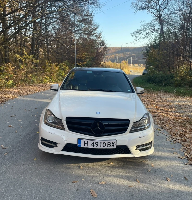 Mercedes-Benz C 300 3.0, снимка 1 - Автомобили и джипове - 47186259