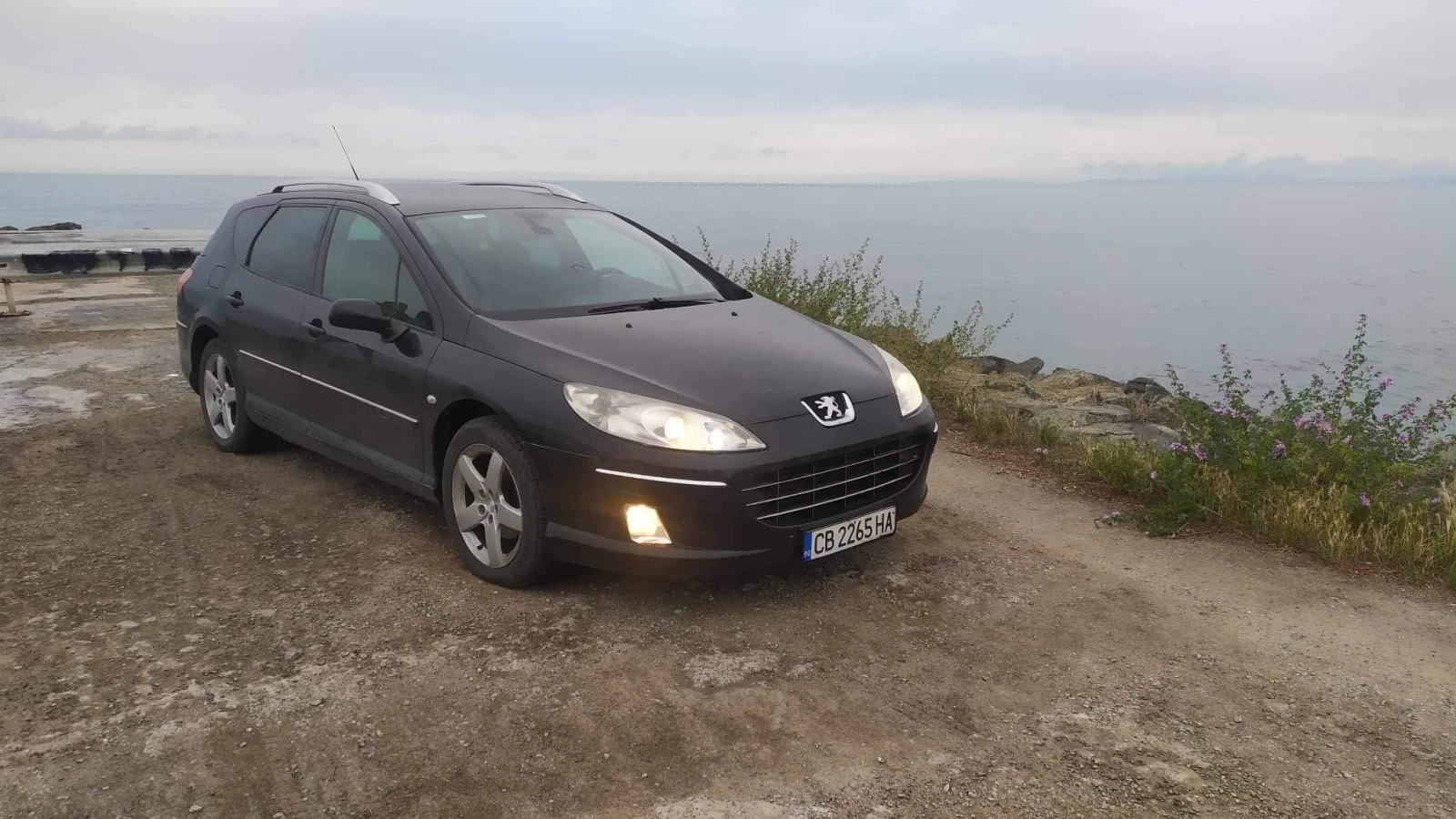 Peugeot 407  - изображение 2