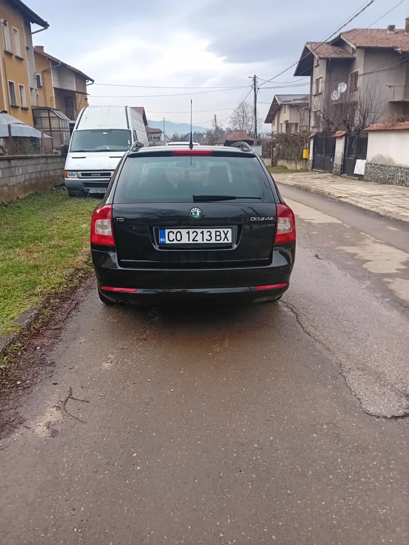 Skoda Octavia, снимка 6 - Автомобили и джипове - 53223005