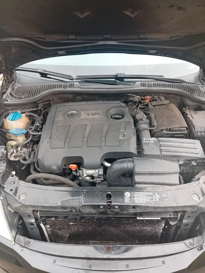 Skoda Octavia, снимка 11 - Автомобили и джипове - 53223005