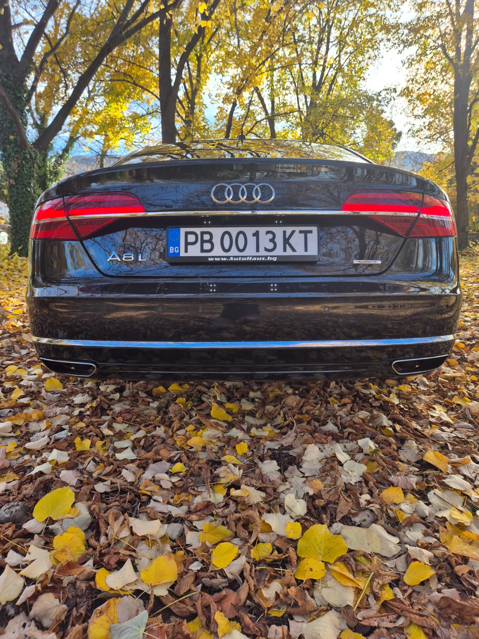 Audi A8 A8 W12 6.3  | Mobile.bg � ����������� 17
