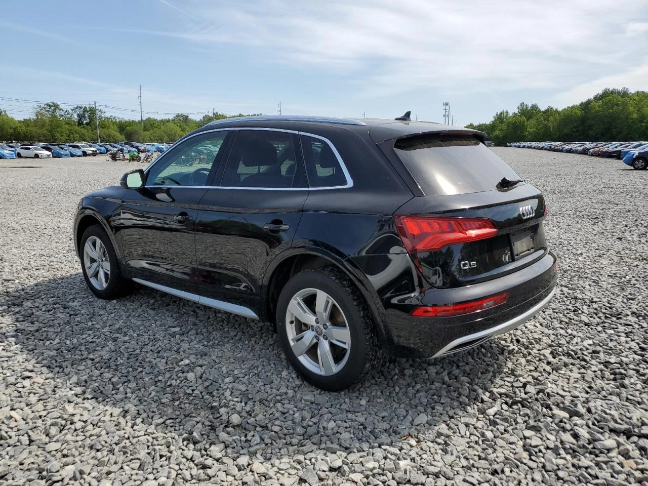 Audi Q5 PRESTIGE - изображение 5