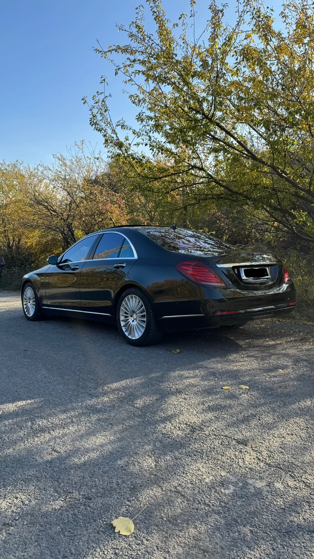 Mercedes-Benz S 350 CDI, 4 MATIC - изображение 4