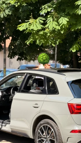 Audi Q5, снимка 6