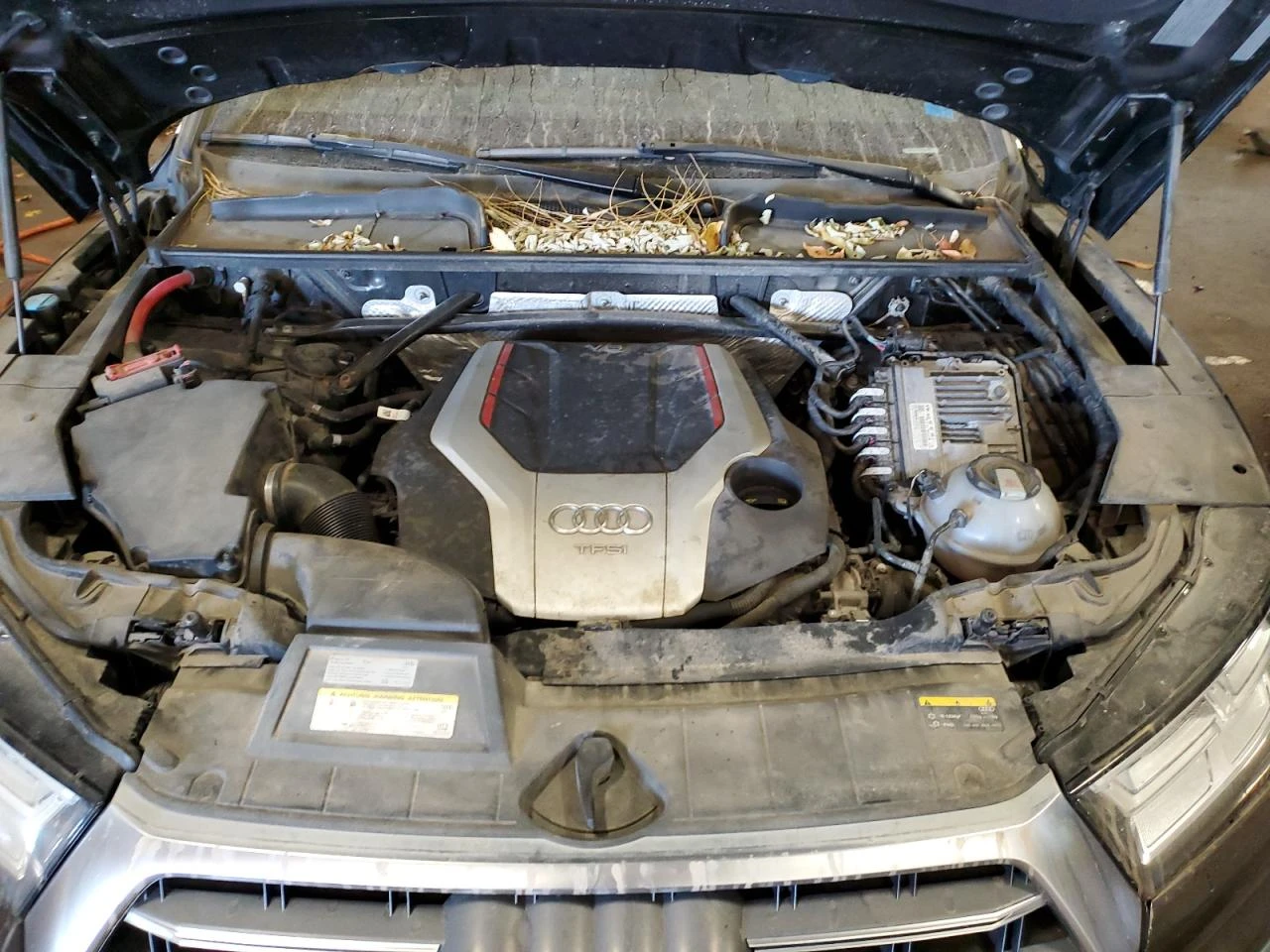 Audi SQ5 PREMIUM PLUS| DIGITAL| HEAD UP| PANO| BOSE | Mobile.bg � ����������� 12