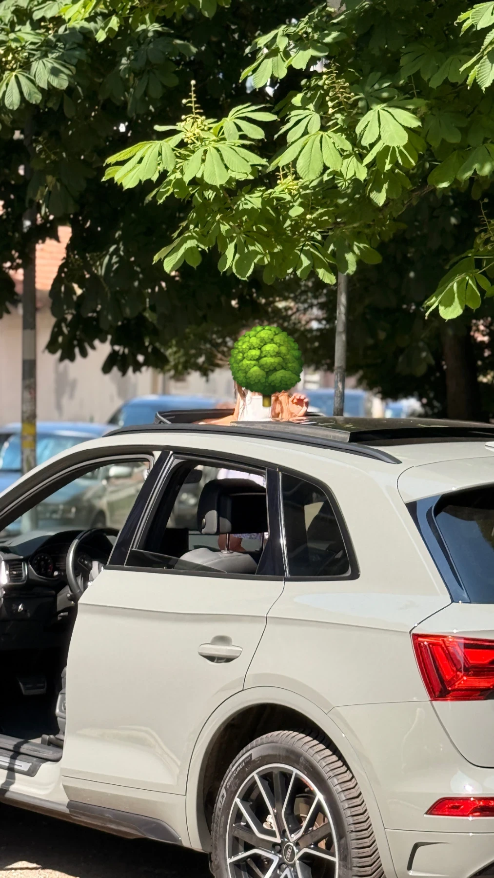 Audi Q5, снимка 6 - Автомобили и джипове - 54934591