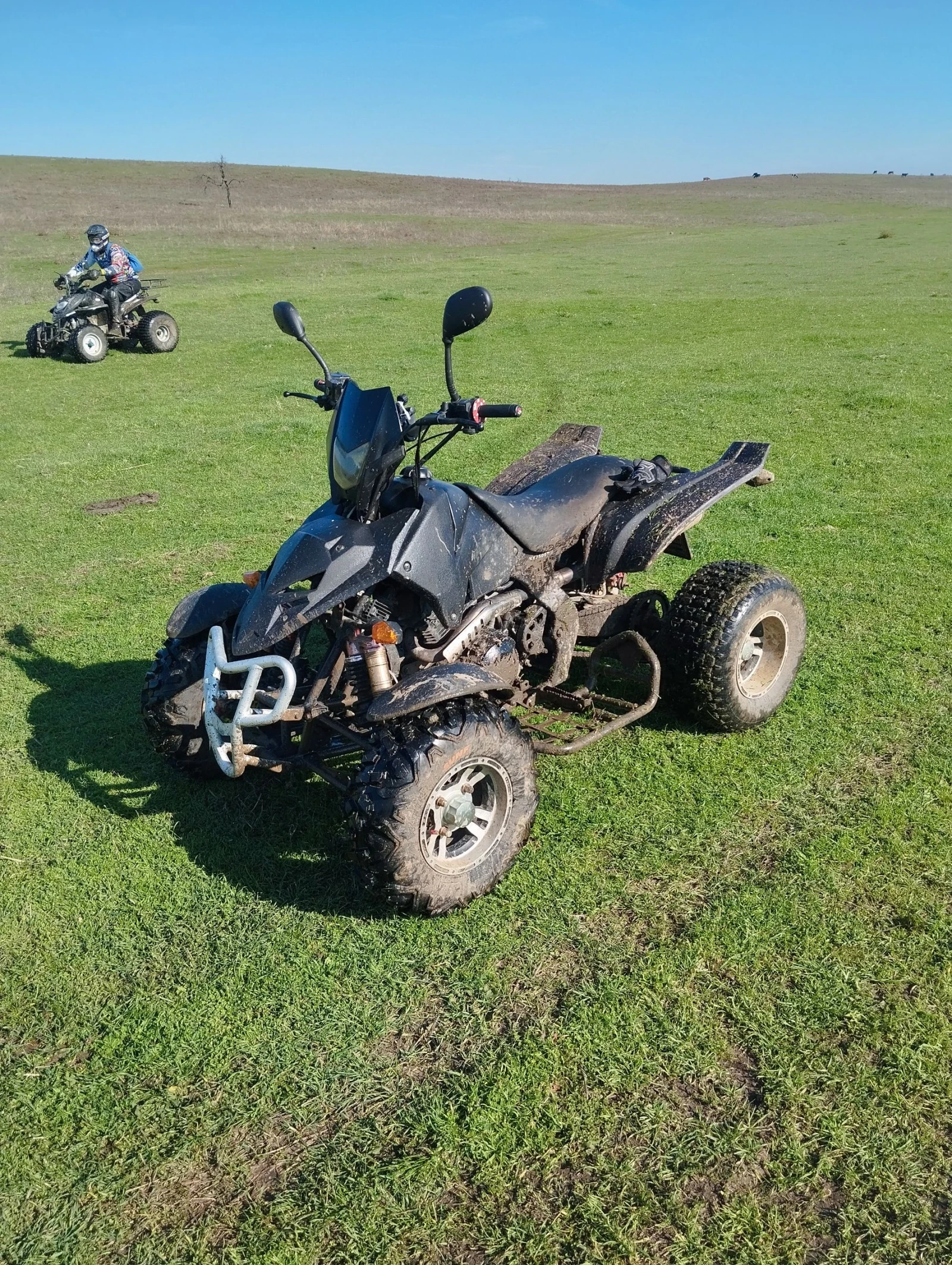 Shineray XY 350ST - изображение 2