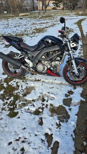 Suzuki SV, снимка 2