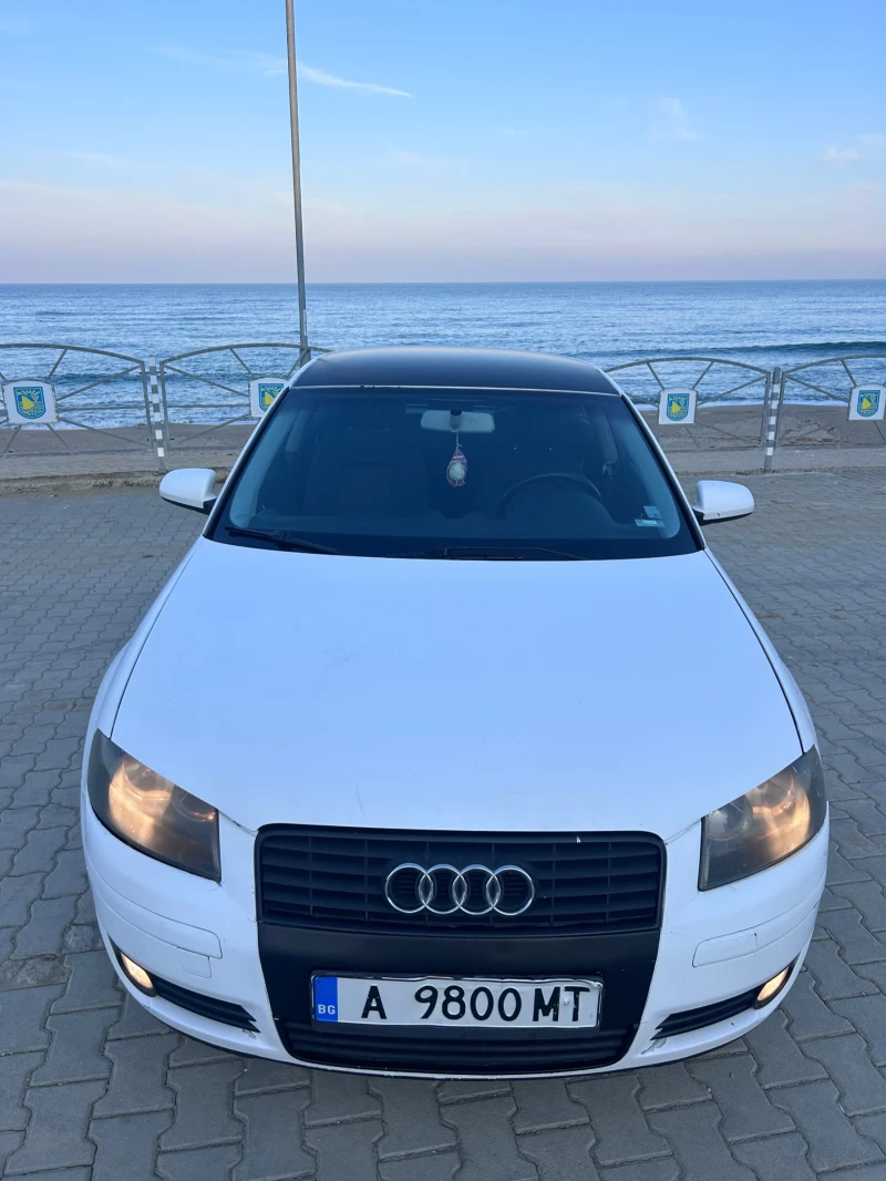 Audi A3 8P, снимка 1 - Автомобили и джипове - 49464406