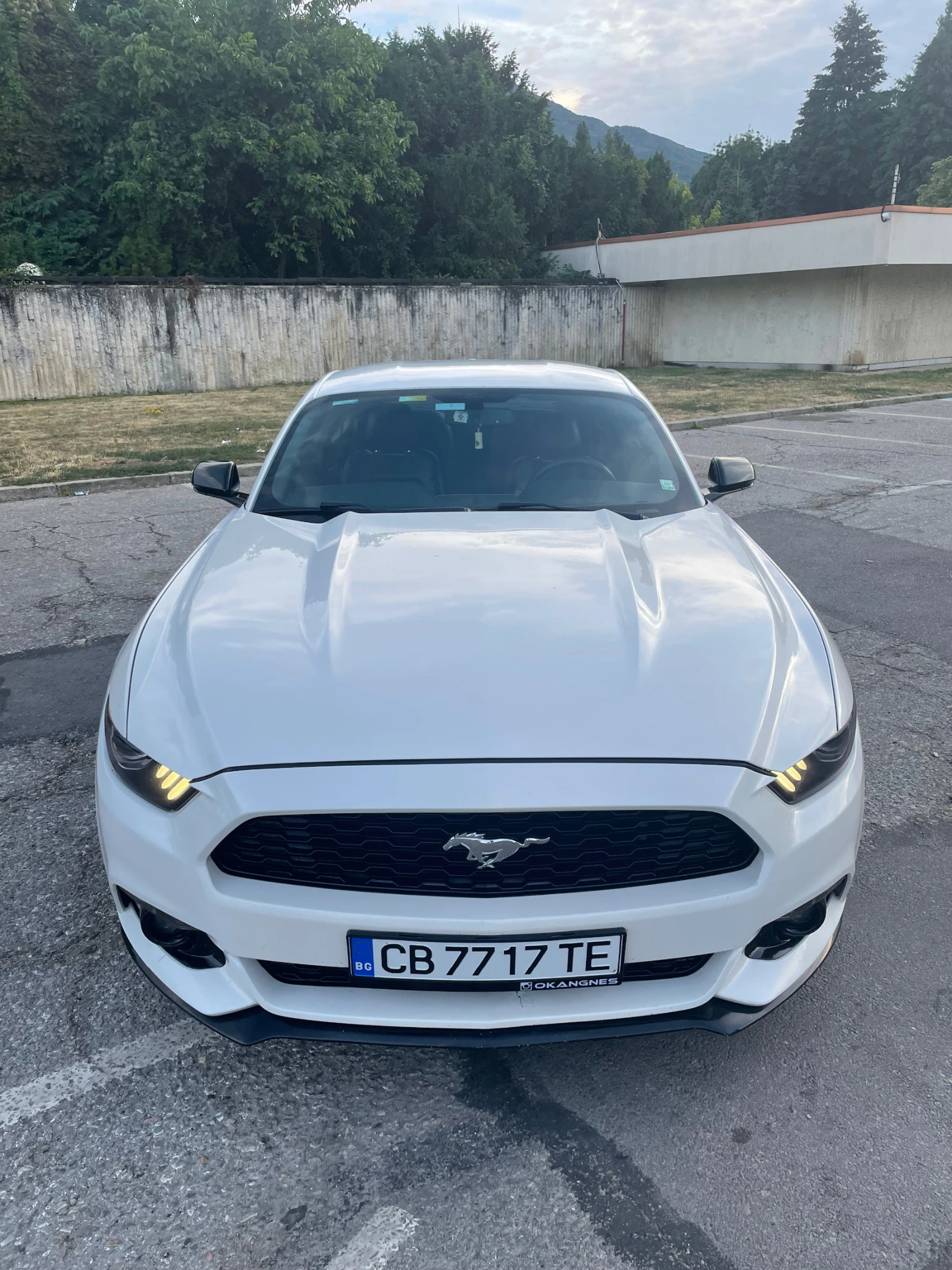 Ford Mustang Ford Mustang Premium Performance Ecoboost 2.3  - изображение 7