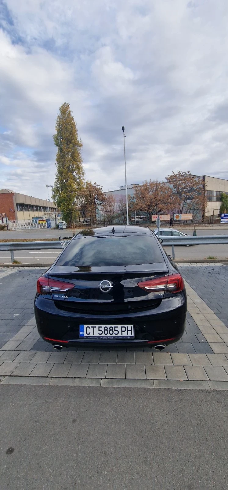 Opel Insignia, снимка 14 - Автомобили и джипове - 48733243