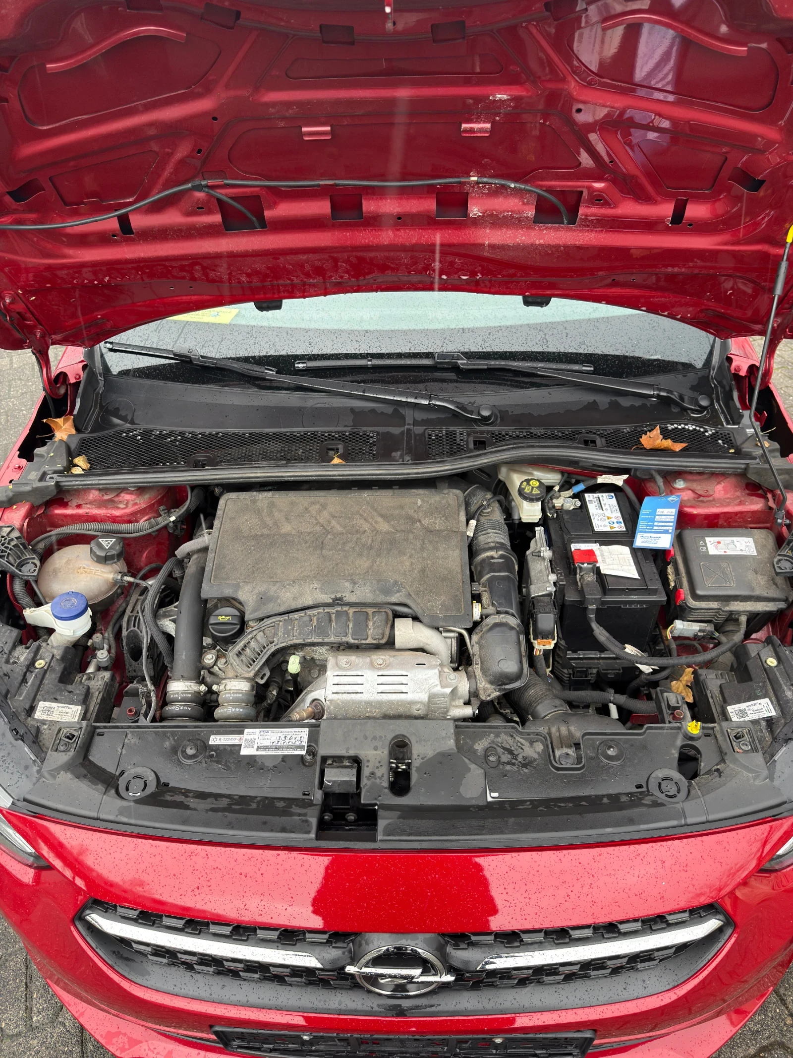 Opel Corsa 1.2 Elegance  | Mobile.bg � ����������� 14