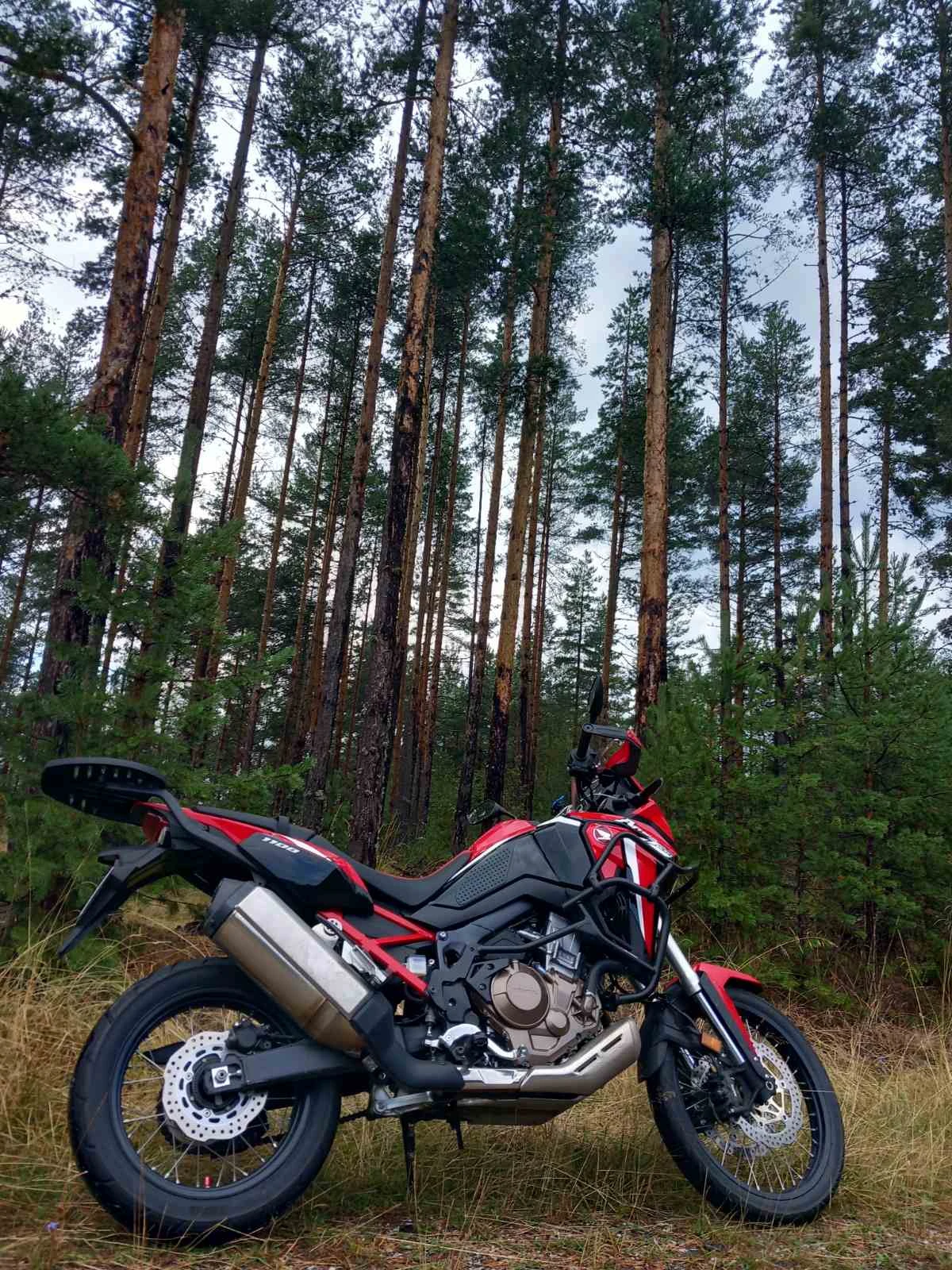 Honda Crf 1100 - изображение 8