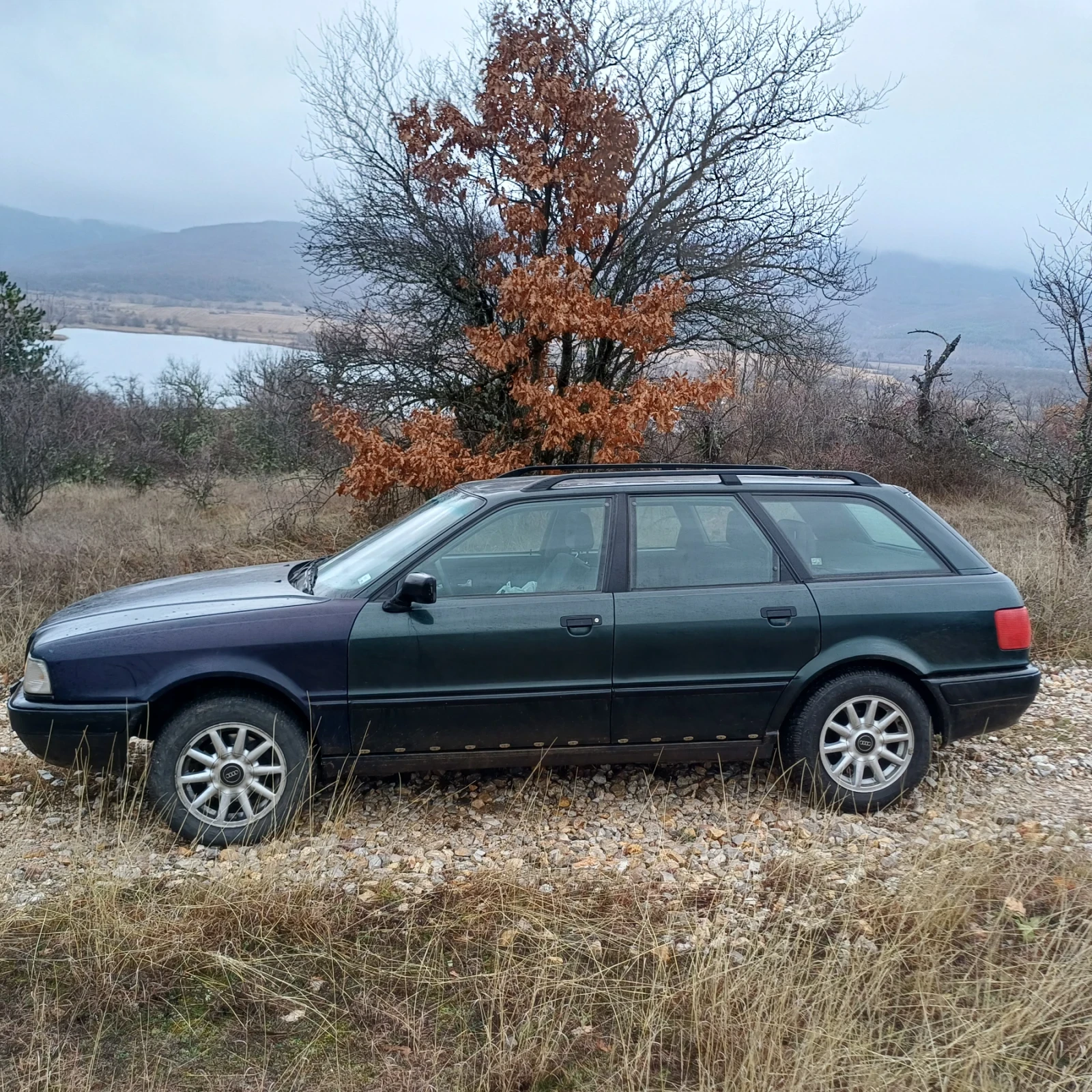 Audi 80 Avant - изображение 2