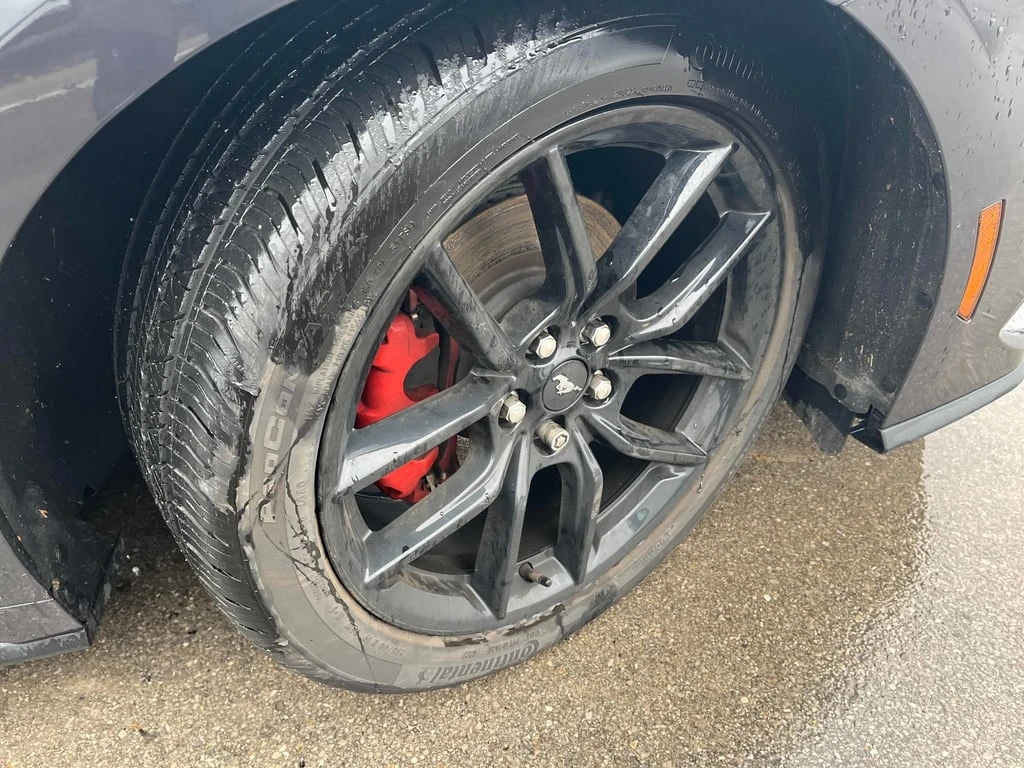 Ford Mustang * EcoBoost * CARFAX *  | Mobile.bg � ����������� 7