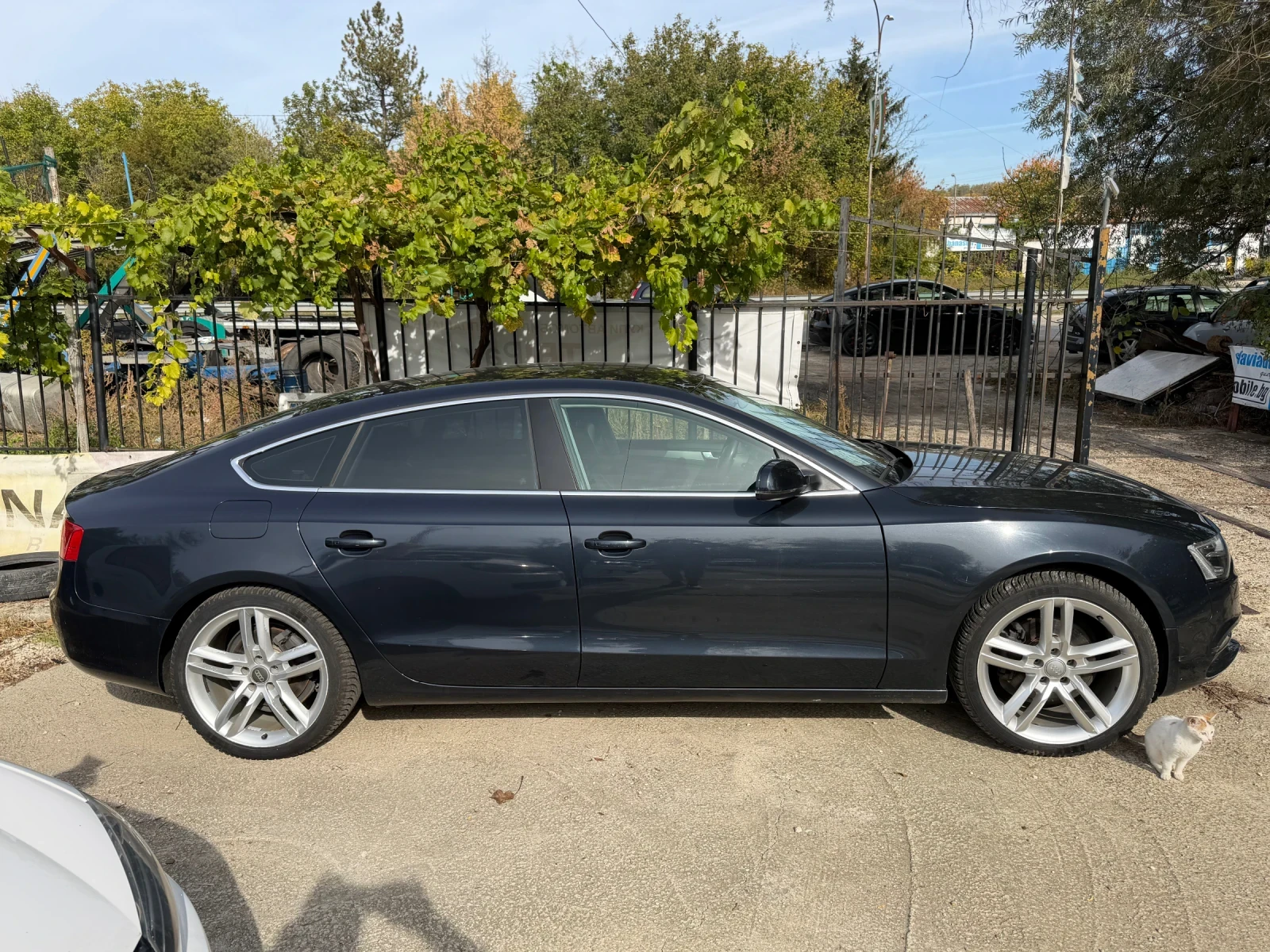 Audi A5 2.0TDi | Mobile.bg � ����������� 2
