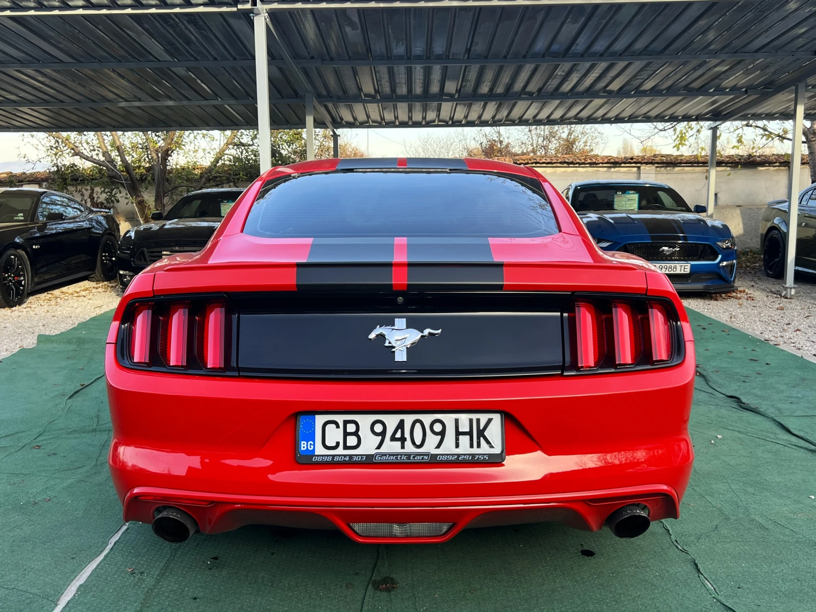 Ford Mustang 3.7 V6 - изображение 6