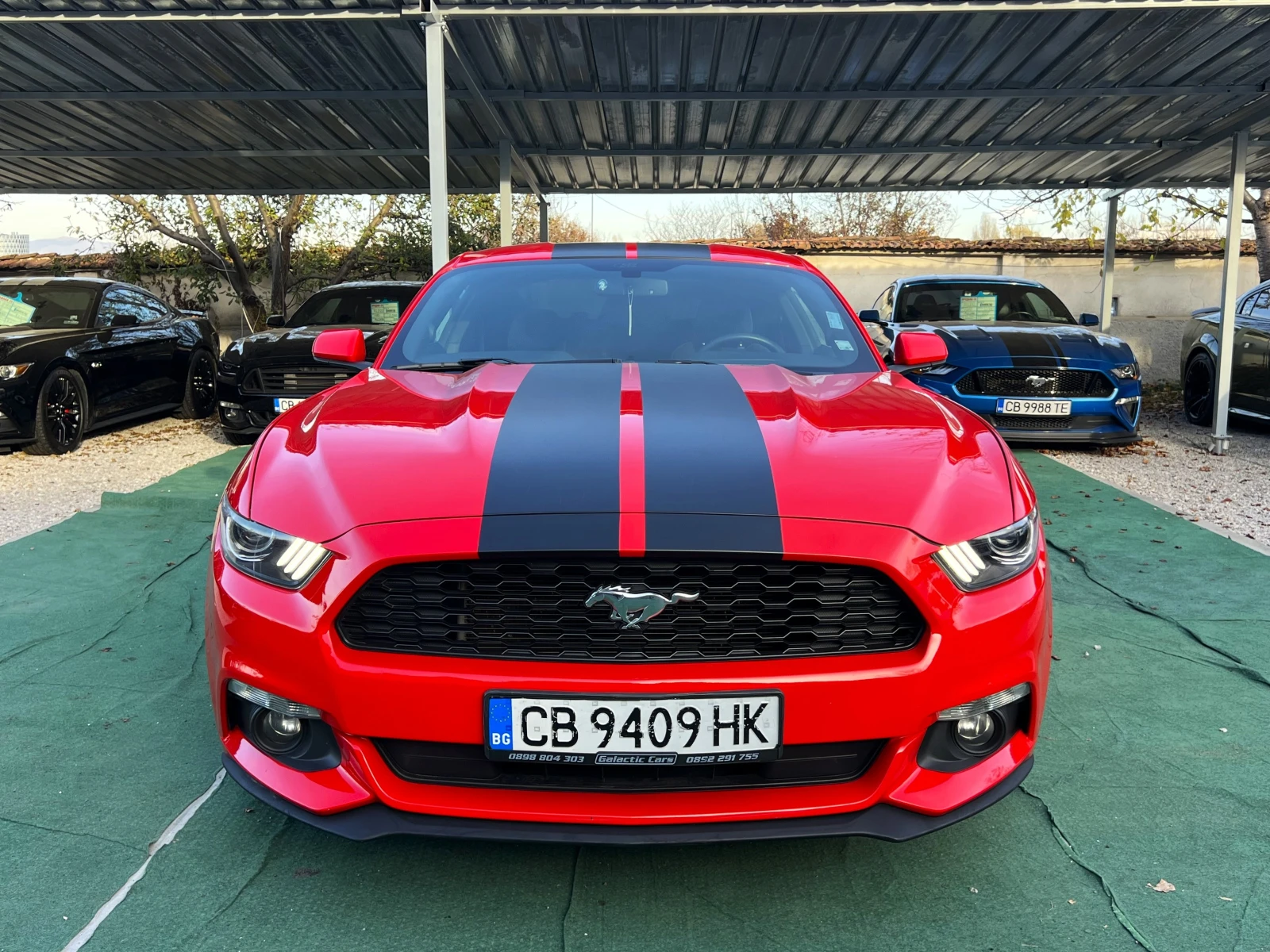 Ford Mustang 3.7 V6 - изображение 2