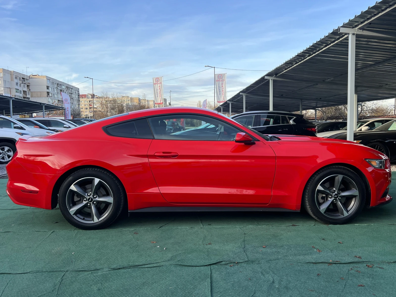 Ford Mustang 3.7 V6 - изображение 4