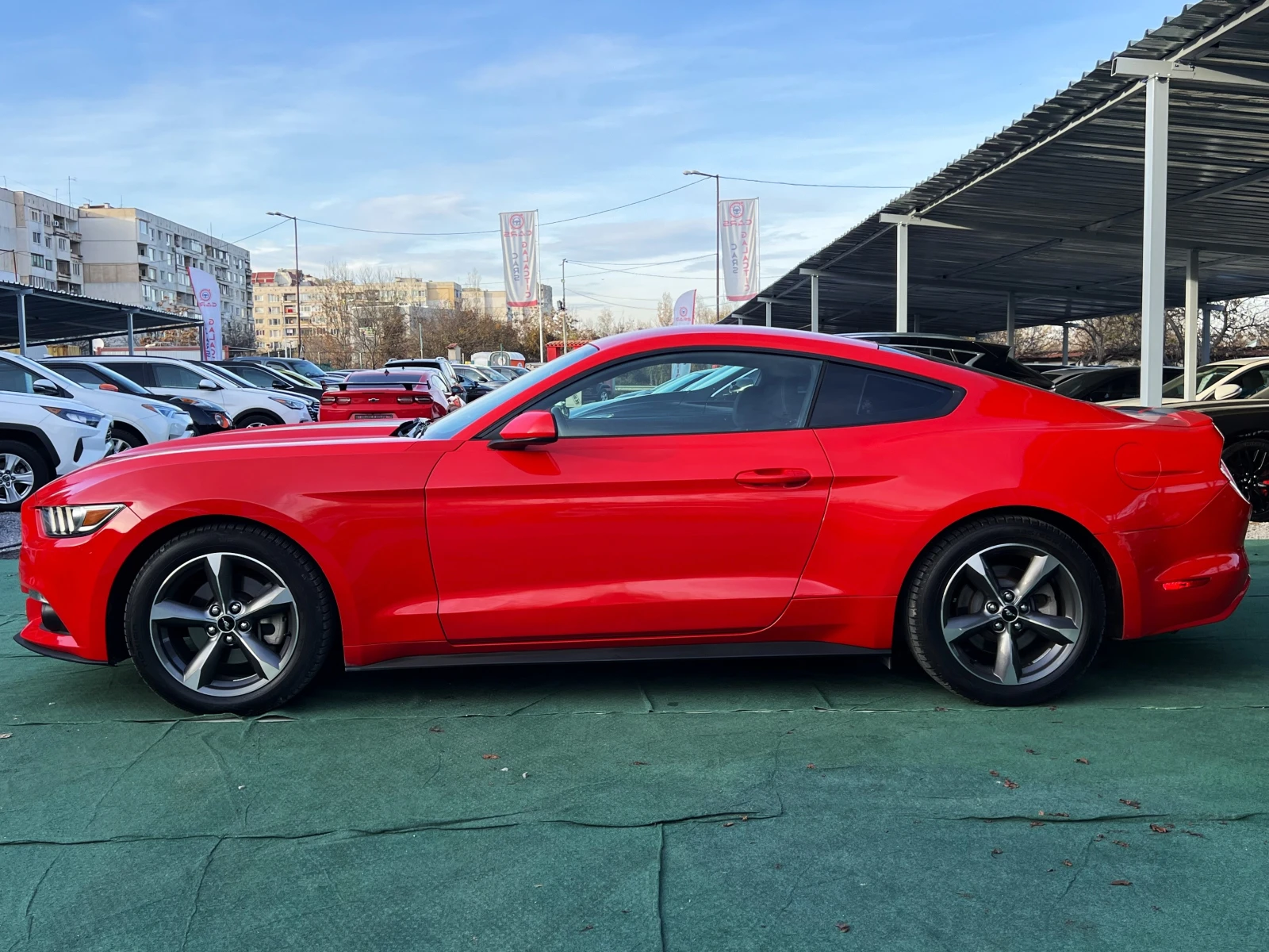 Ford Mustang 3.7 V6 - изображение 8