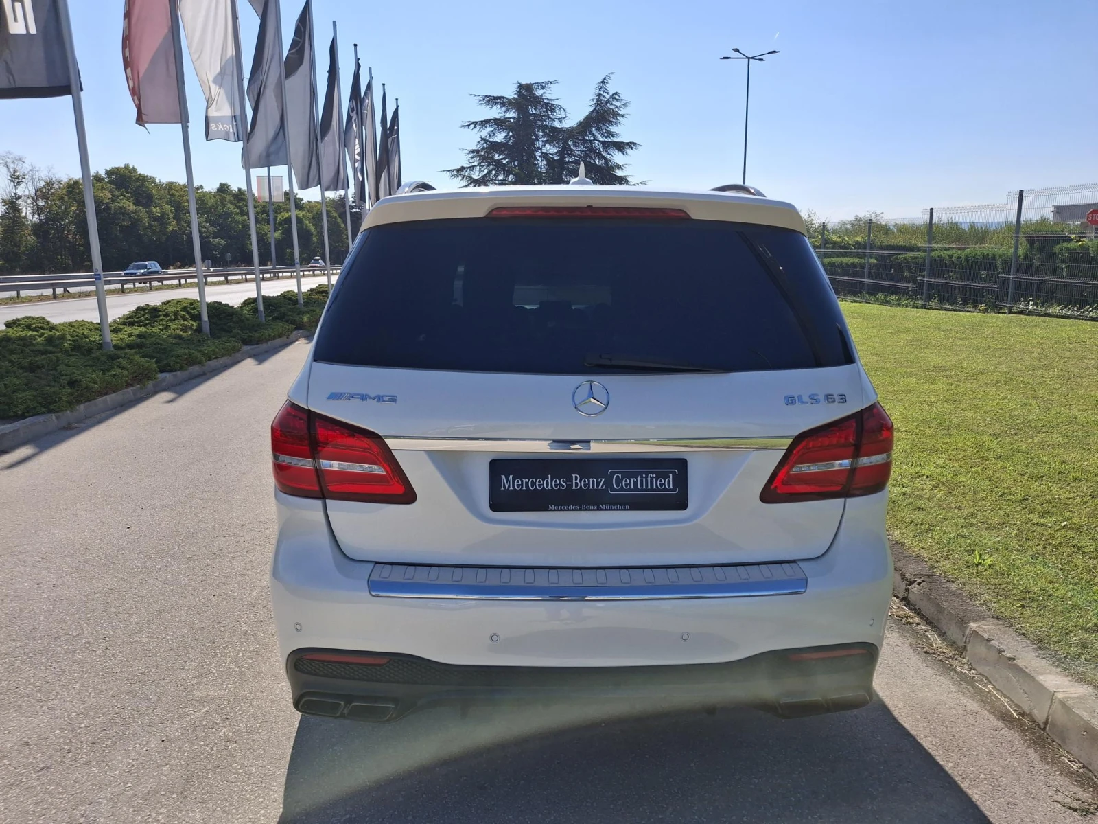 Mercedes-Benz GLS 63 AMG 4MATIC - изображение 6
