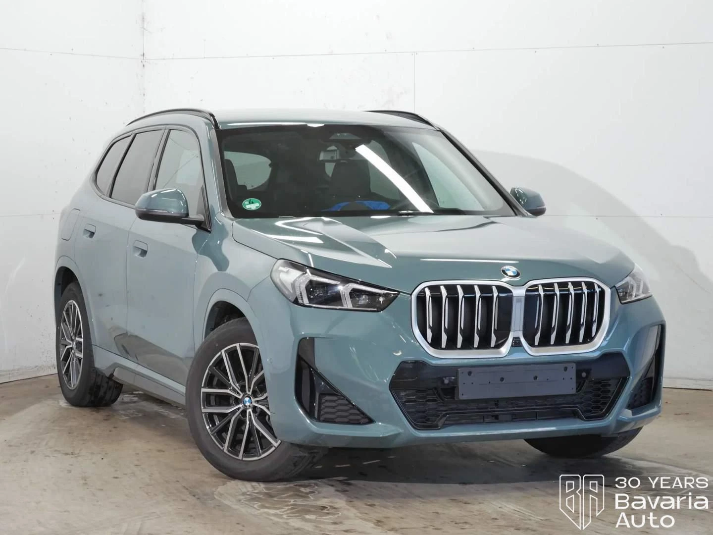 BMW X1 20d xDrive Steptronic, снимка 4 - Автомобили и джипове - 56302728