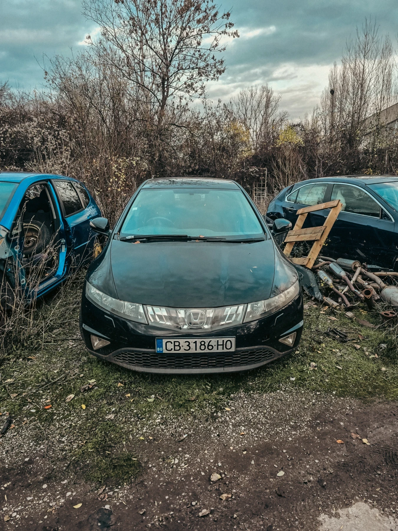 Honda Civic  - изображение 2