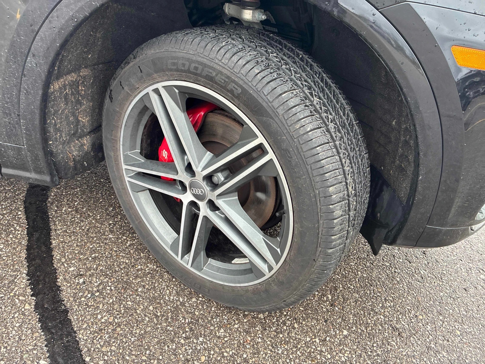 Audi SQ5 360������* LANE* ASSIST* CARBON* �������*  | Mobile.bg � ����������� 7