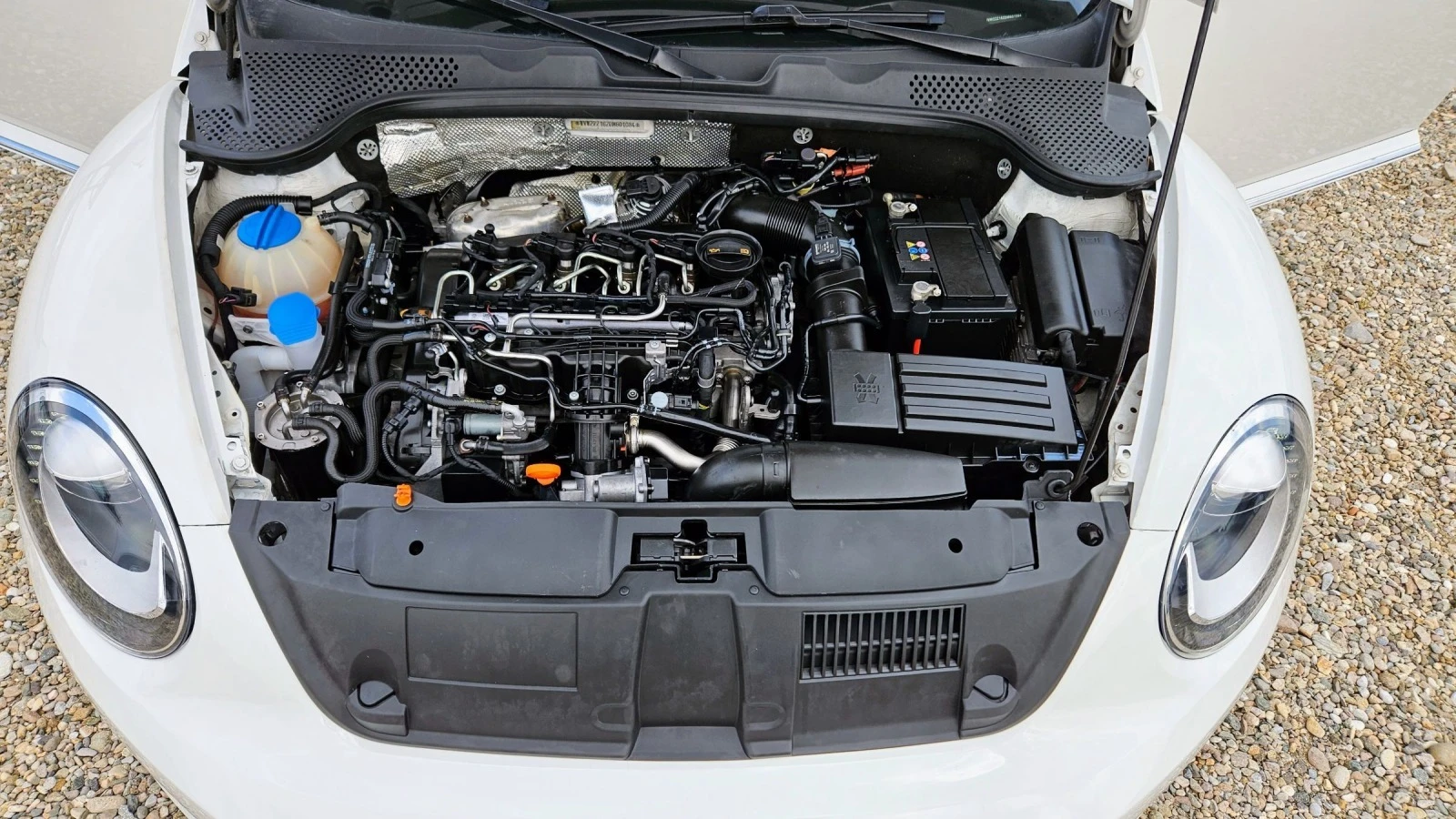 VW Beetle 1.6 TDI-105ks | Mobile.bg — изображение 17