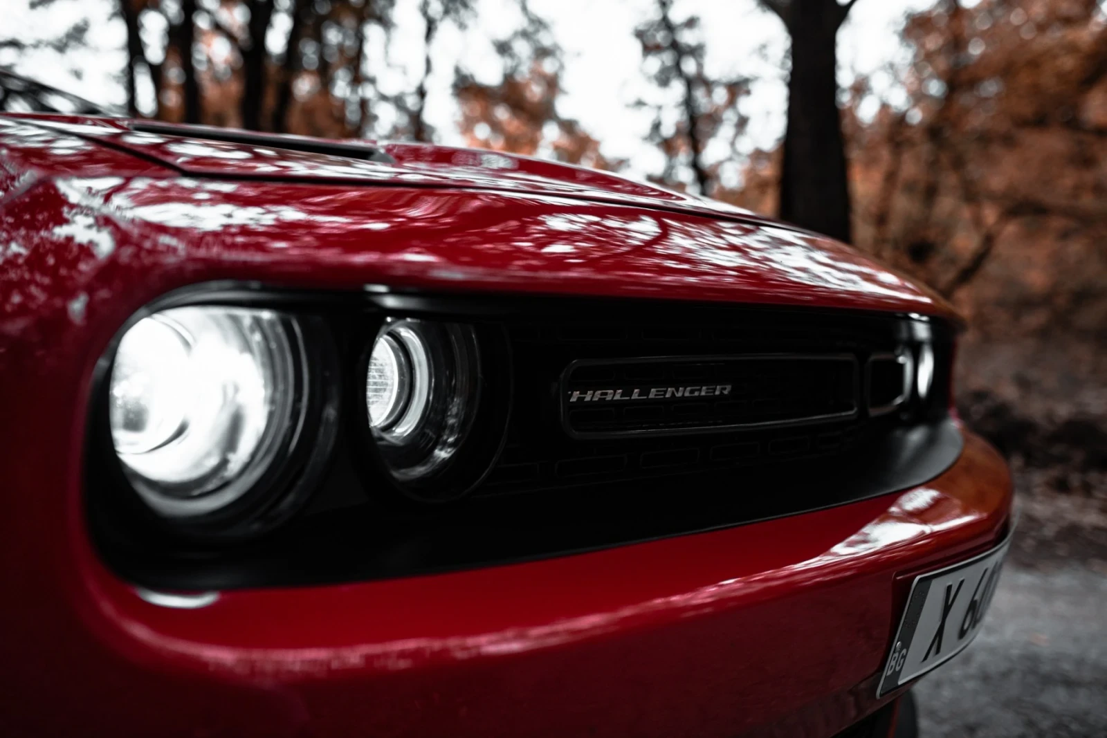 Dodge Challenger  - изображение 6